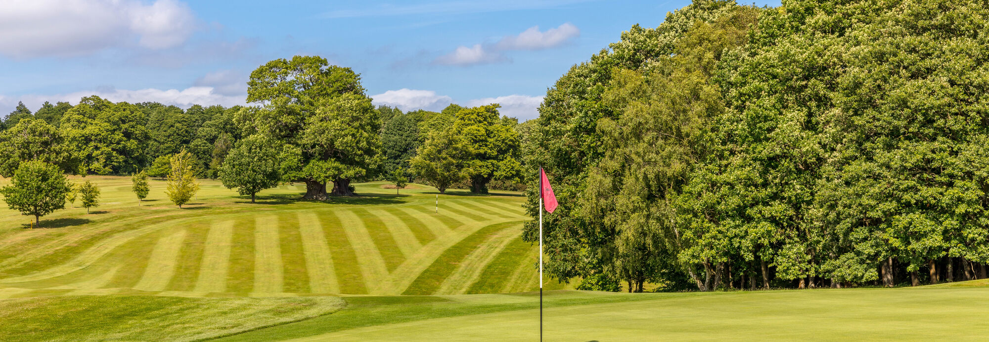 Cowdray Park Golf Club